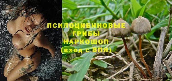 СК Алзамай