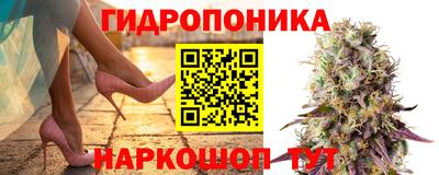 альфа пвп Кандалакша