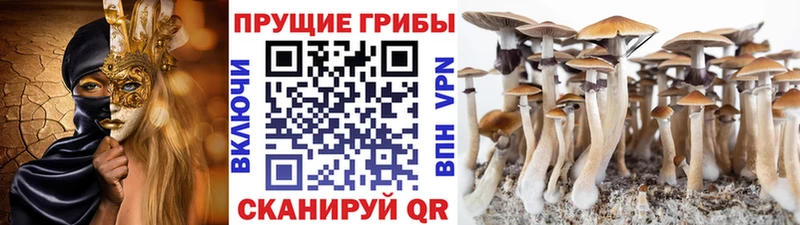 OMG онион  Севастополь  Галлюциногенные грибы мицелий 