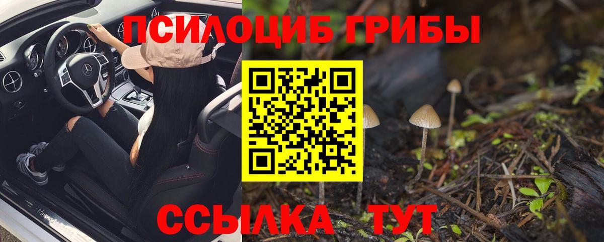 Севастополь  Псилоцибиновые грибы Cubensis  где продают   Вход с VPN 