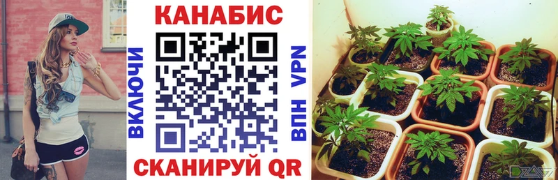 Бошки Шишки White Widow  omg как зайти  Севастополь 